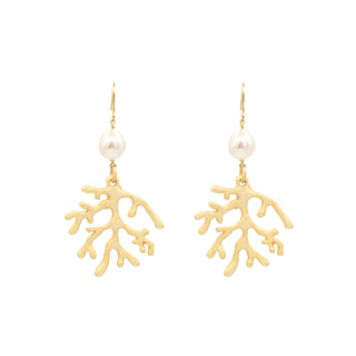 Aurelia Gold